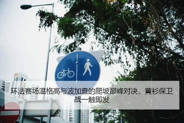 环法赛场温格高与波加查的爬坡巅峰对决，黄衫保卫战一触即发