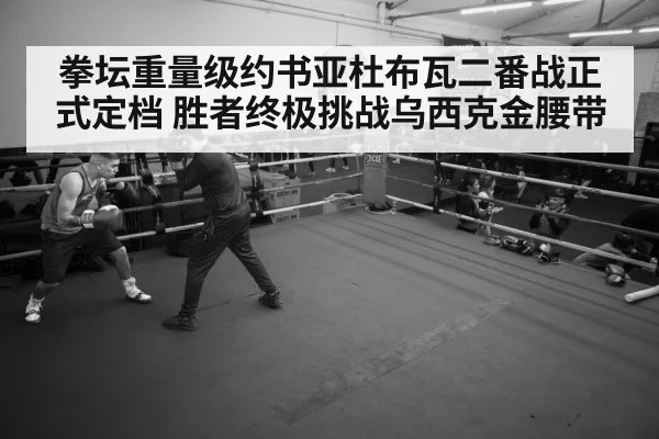 boxer training gym